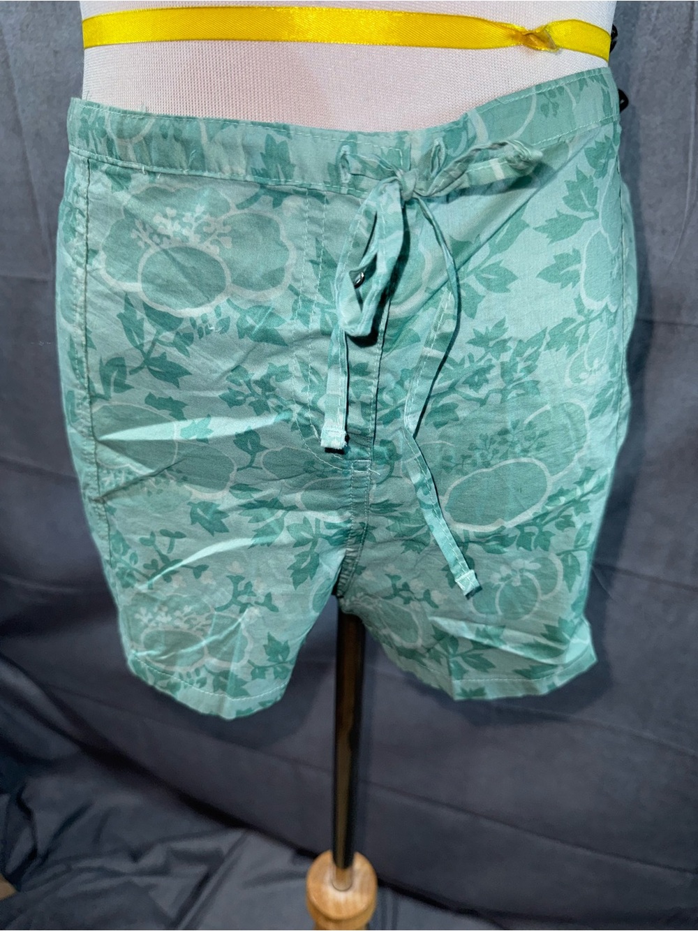 2867-American Eagle Outfitters Mint Green Floral Drawstring Shorts